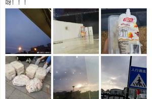 1000 royal seal are easy melt heart to heart vermi