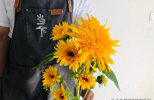 Weigh the decay of valve helianthus, is beautiful words is what silent love? This beautiful fokelore