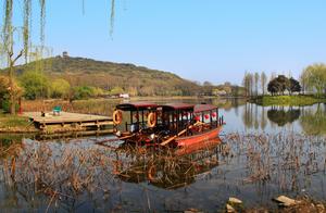 Too head of lake soft-shelled turtle smalls piece of land surrounded by water scenery fact is patted