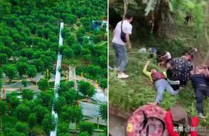 First days of 51 pleasure ground produces tragic: 