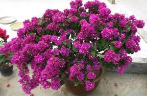 Water to be able to grow explode basin, these 6 ki