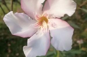 Does life conveniently write down: ? Curtain of ye