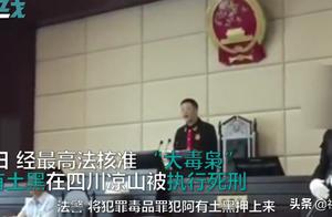 A of big poisonous ambitious has land black before