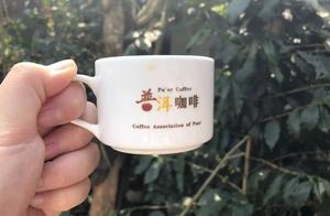 Money of Yunnan coffee bad drives out fine money, 