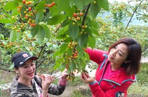 Rustic focusing: 3 gorge are rich happy leisurely 