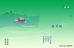 软件技术投标范本 软件项目投标书中的技术方案怎么写