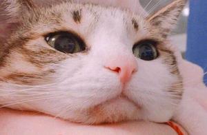 This also wife mistress is incisive! Uncover secre