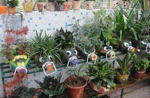 Meaty leaf is inserted need not basin need not ear