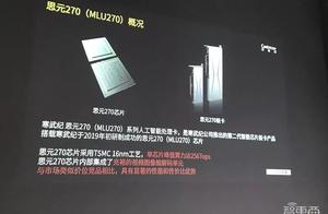 The Cambrian is newest leak of accident of AI chip