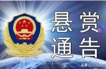 Amount of offer a reward exceeds 1 million! Open o