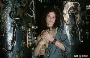 If say the work bear that has which director says 