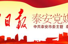 51 during, management board of Tai'an city lash-u