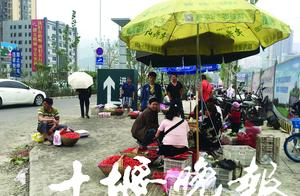 Seek by inquiry 10 lasher railway station boreal s