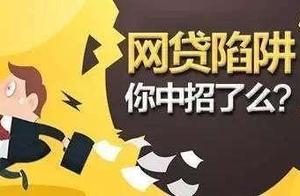 2019 what kind of nets are not borrowed on sign a 