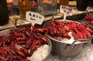 Clerk buffet exposing to the sun " feline be bore