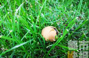 Xi'an music river one village late night high-ris