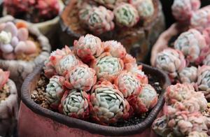 Be in meaty water on, this a few major waters skil