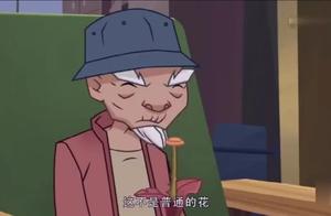 无锡市紫美家具 有关于花的资料