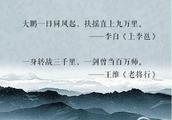 有哪些狂傲不羁的诗词？