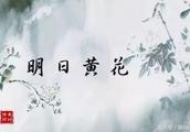 ʫʱ ĿĿ