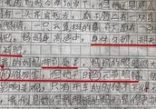 我是一个……的孩子作攵,530字