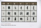 遨游汉字王国作文600字