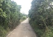 廣州黃埔區九龍鎮騙局