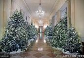 The Christmas comes, christmas of interior of the White House decorates exposure, didn't Yi Moka co