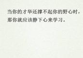 我将怎样学习八年级语文 作文800字