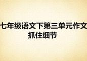 七年级下册语文期末考试作文