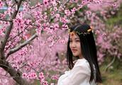 桃花吸引了我作文100字