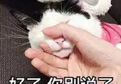 興平房價到18年有可能上漲嗎