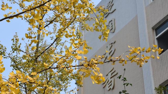 快乐阅读,和谐成长的作文 要求400到400字