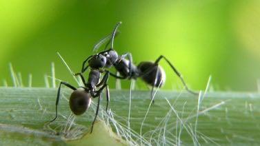 生存的智慧为话题的作文