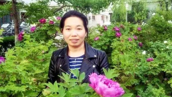 武汉白马洲物流有限公司怎么样？