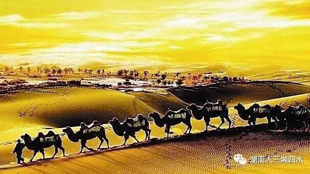 介绍湖南的风俗作文