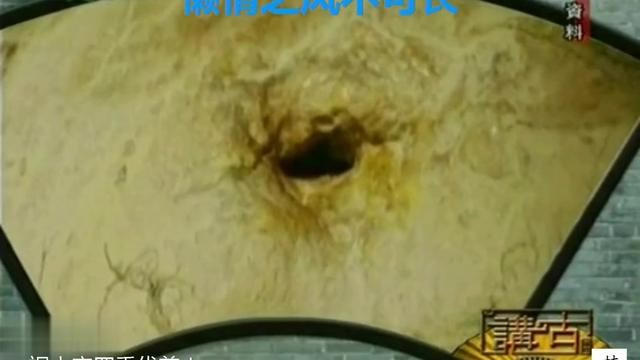 《叛逆之风不可长》的作文