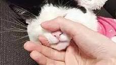 松江新城 明豐公寓 二手房 值得買么？