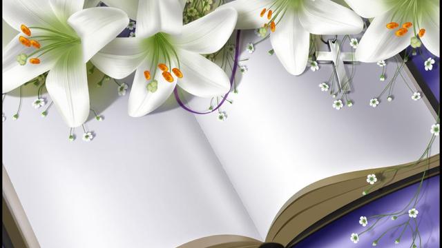 高考作文不能写诗歌？