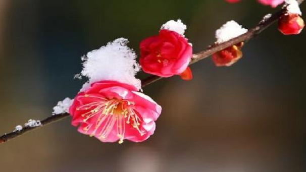 ӽʫ䣿