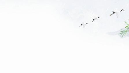 Ƽס츸סʫ