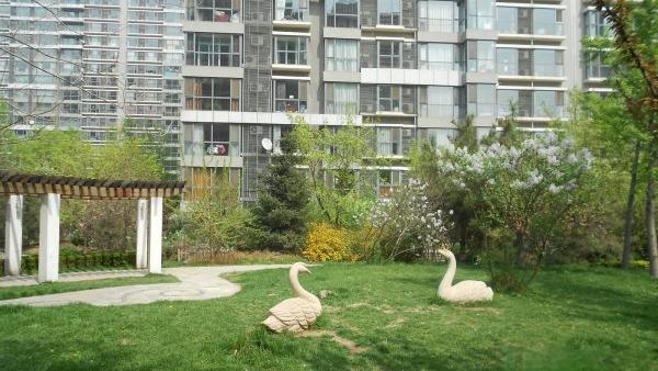 雙井附近的健身房？