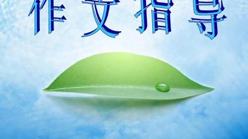 如何做好小学生作文指导实施方案