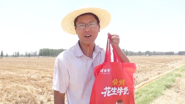 玉米需要多浇水吗