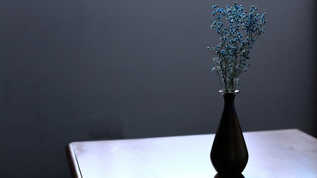 ϵȱôȥ