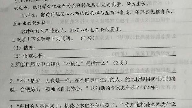 小升初满分作文