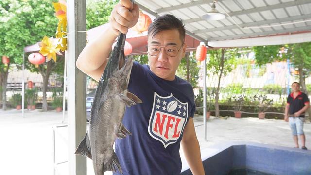 各位高手鴨嘴魚怎么做好吃？家在深圳