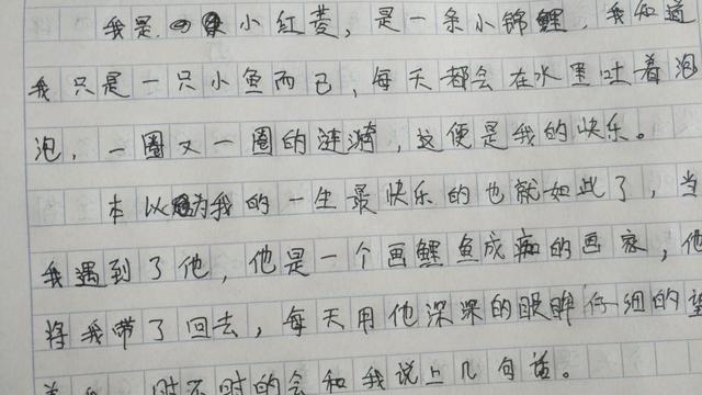 写锦鲤的作文