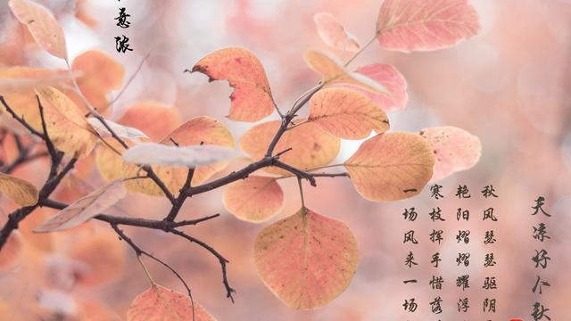 我们班的诗歌朗诵会当时的情况作文150字