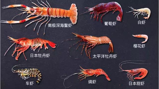 ϺĹʫ